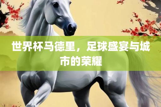 世界杯马德里，足球盛宴与城市的荣耀常熟市高丰毛纺织品有限公司