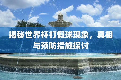 揭秘世界杯打假球现象，真相与预防措施探讨常熟市高丰毛纺织品有限公司