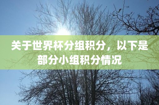 关于世界杯分组积分，以下是部分小组积分情况常熟市高丰毛纺织品有限公司