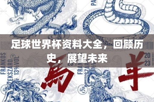 足球世界杯资料大全，回顾历史，展望未来