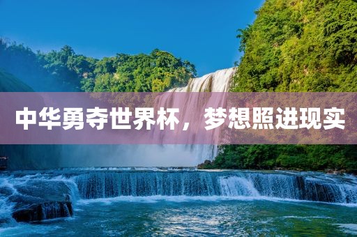 中华勇夺世界杯，梦想照进现实