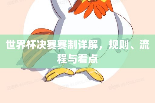 世界杯决赛赛制详解，规则、流程与看点常熟市高丰毛纺织品有限公司