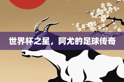 世界杯之星，阿尤的足球传奇