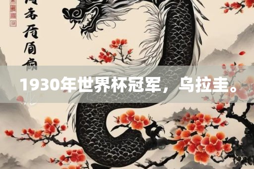 1930年世界杯冠军，乌拉圭。