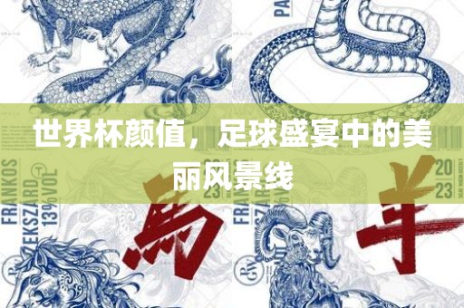 世界杯常熟市高丰毛纺织品有限公司颜值，足球盛宴中的美丽风景线