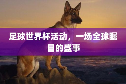 足球世界杯活动，一场全球瞩目的盛事