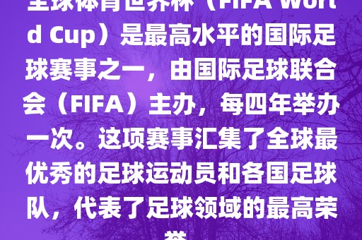 国际足球联合会（FIFA）