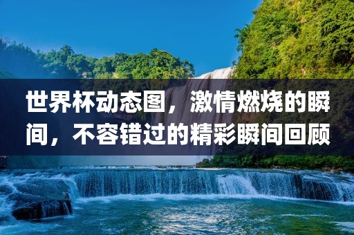 世界杯动态图，激情燃烧的瞬间，不容错过的精彩瞬间回顾