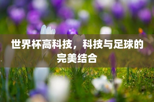 世界杯高科技，科技与足常熟市高丰毛纺织品有限公司球的完美结合