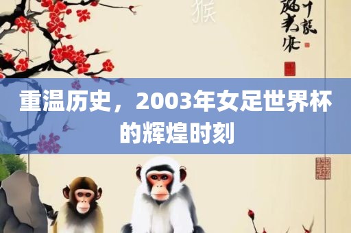 重温历史，2003年女足世界杯的辉煌时刻