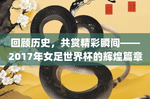 回顾历史，共赏精彩瞬间——2017年女足常熟市高丰毛纺织品有限公司世界杯的辉煌篇章