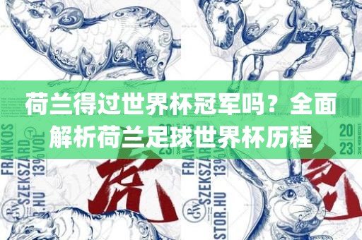 荷兰得过世界杯冠军吗？全面解析荷兰足球世界杯历程常熟市高丰毛纺织品有限公司