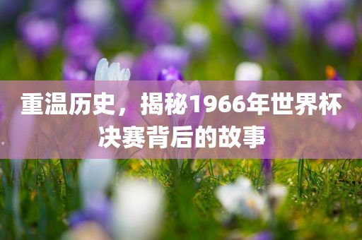 重温历史，揭秘1966年世界杯决赛背后的故事