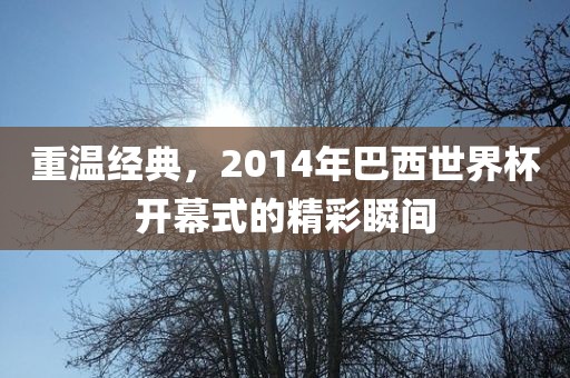 重温经典，2014年巴西世界杯开幕式的精彩瞬间常熟市高丰毛纺织品有限公司