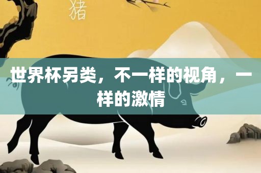世界杯另类，不一样的视角，一样的激情常熟市高丰毛纺织品有限公司
