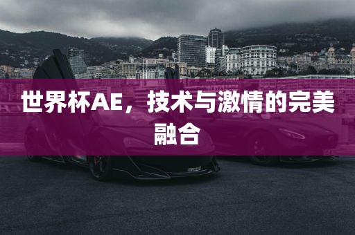 世界杯AE，技术与激情的完美融合常熟市高丰毛纺织品有限公司