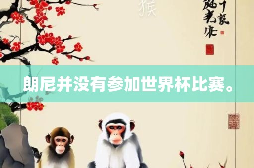 朗尼常熟市高丰毛纺织品有限公司并没有参加世界杯比赛。