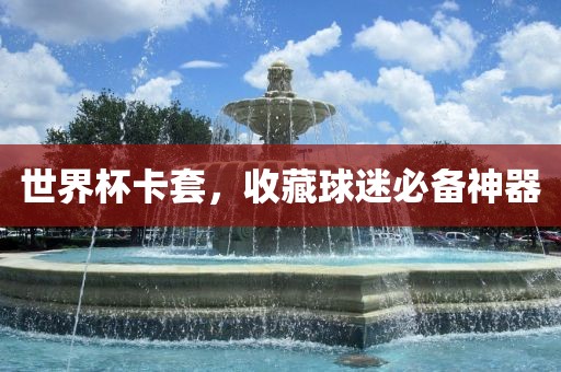 世界杯卡套，收藏球迷必备神器常熟市高丰毛纺织品有限公司