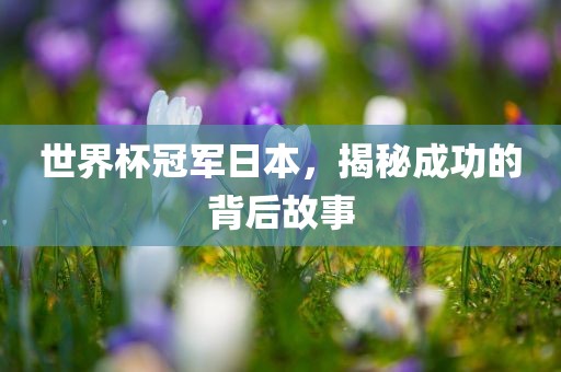 世界杯冠军日本，揭秘成功的背后故事常熟市高丰毛纺织品有限公司
