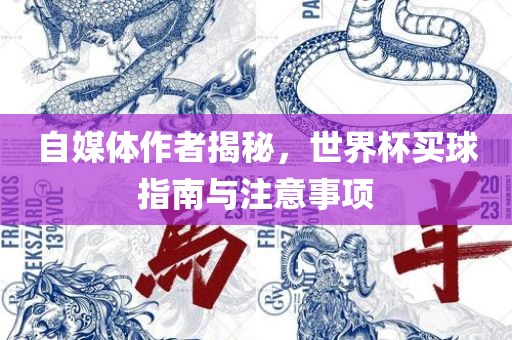 自媒体作者揭秘，世界杯买球指南与注意事项
