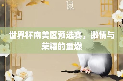 世界杯南美区预选赛，激情与荣耀的重燃