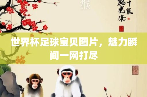 世界杯足球宝贝图片，魅力瞬间一网打尽