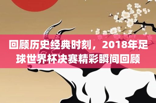 回顾历史经典时刻，2018年足球世界杯决赛精彩瞬间回顾