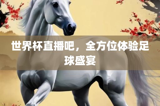 世界杯直播吧，全方位体验足球盛宴