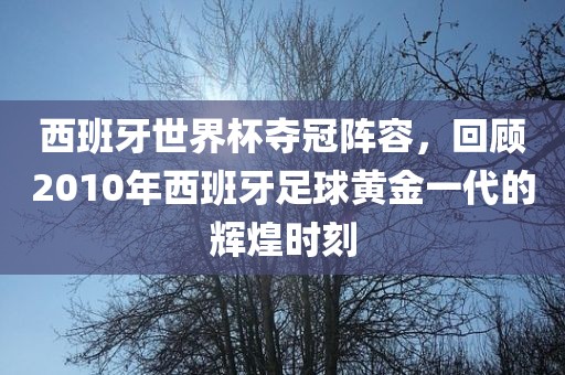 西班牙世界杯夺冠阵容，回顾2010年西班牙足球黄金一代的辉煌时刻常熟市高丰毛纺织品有限公司