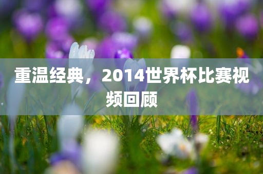 重温经典，2014世界杯比赛视频回顾