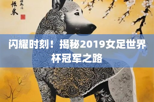 闪耀时刻！揭常熟市高丰毛纺织品有限公司秘2019女足世界杯冠军之路