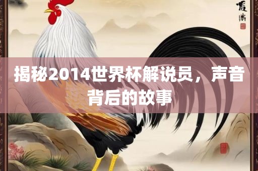 揭秘2014世界杯解说员，声音背后的故事常熟市高丰毛纺织品有限公司