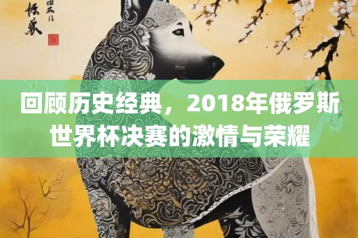 回顾历史经典，2018年俄罗斯世界杯决赛的激情与荣耀常熟市高丰毛纺织品有限公司
