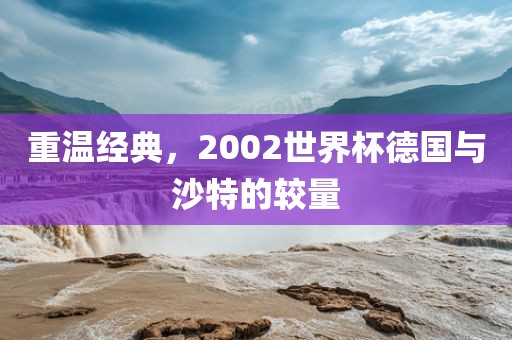 重温经典，2002世界杯德国与沙特的较量常熟市高丰毛纺织品有限公司