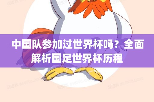 中国队参加过世界杯吗？全面解析国足世界杯历程常熟市高丰毛纺织品有限公司