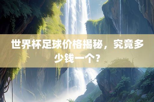 世界杯足球价格揭秘，究竟多少钱一个？常熟市高丰毛纺织品有限公司