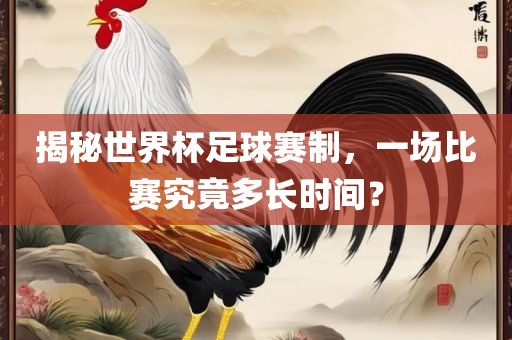 揭秘世界杯足球赛制，一场比赛究竟多长常熟市高丰毛纺织品有限公司时间？