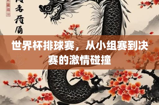 世界杯排球赛，从小组赛到决赛的激情碰撞