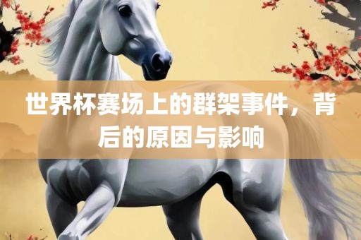 世界杯赛场常熟市高丰毛纺织品有限公司上的群架事件，背后的原因与影响