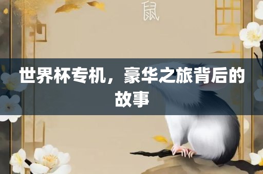 世界杯专机，豪华之旅背后常熟市高丰毛纺织品有限公司的故事