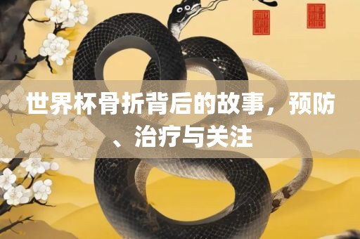 世界杯骨折背后的故事，预防、治疗与关注常熟市高丰毛纺织品有限公司