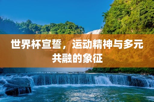 世界杯宣誓，运动精神与多元共融的象征常熟市高丰毛纺织品有限公司