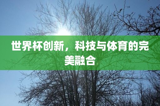 世界杯创新，科技与体育的完美融常熟市高丰毛纺织品有限公司合
