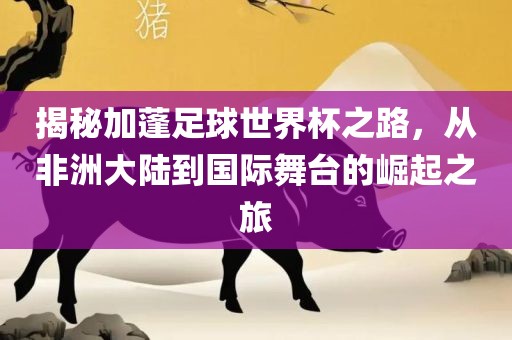 揭秘加蓬足球世界杯之路，从非洲大陆到国际舞台的崛起之旅常熟市高丰毛纺织品有限公司