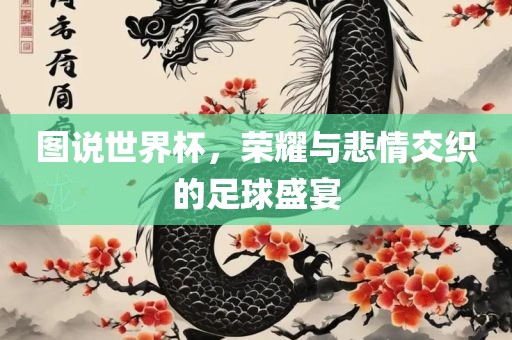 图说世界杯，荣耀与悲情交织的足常熟市高丰毛纺织品有限公司球盛宴