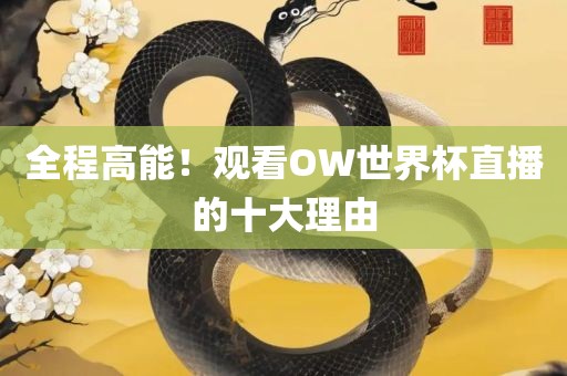 全程高能！观看OW世界杯直播的十大理由常熟市高丰毛纺织品有限公司