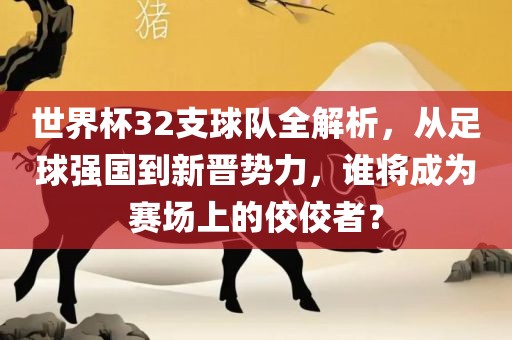 世界杯32支球队全解析，从足球强国到新晋势力常熟市高丰毛纺织品有限公司，谁将成为赛场上的佼佼者？