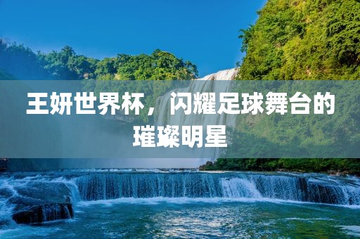 王妍世界杯，常熟市高丰毛纺织品有限公司闪耀足球舞台的璀璨明星