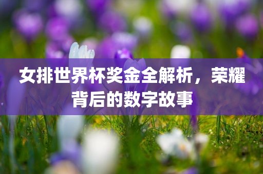 女排世界杯奖金全解析，荣耀背后的数字故事常熟市高丰毛纺织品有限公司