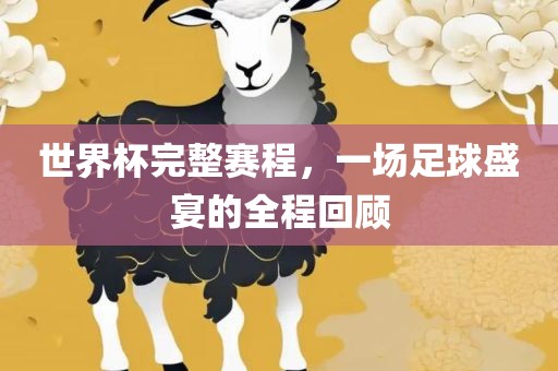 世界杯完整赛程，一场足球盛宴的全程回顾